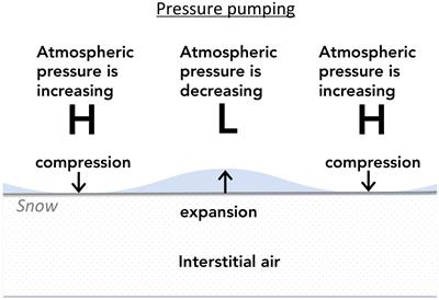 Pressure-Driven Vapor Exchange With Surface Snow